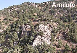 Пожар в лесах Вайоцдзорской области Армении локализован