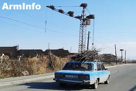 Проводится мониторинг для выявления причин массового загрязнения аистов