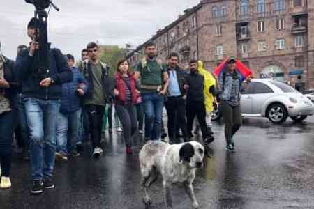 Члены инициатив “Сделай шаг” и “Откажи Сержу” поддержала студентов, объявивших забастовку у ЕГУ