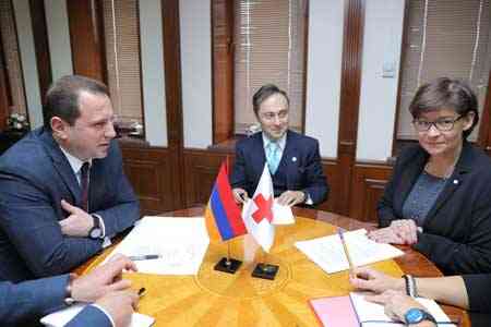 David Tonoyan and Head of ICRC delegation discussed the fate of Karen  Ghazaryan captured by Azerbaijan