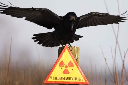 EС предоставит Армении 1,5 млн евро на внедрение эффективной культуры ядерной безопасности