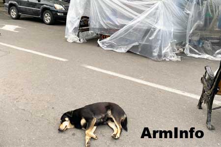 В Ереване продолжаются акции неповиновения: Парализовано движение через Киевский и Давиташенский мосты