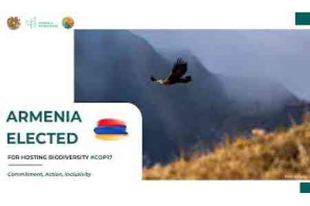 В целях проведения в Армении COP17 создан организационный комитет