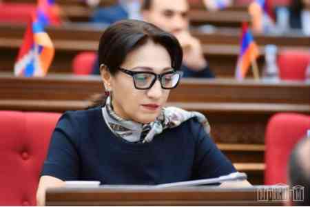 Оппозиционный депутат проинформировала представителей ПА ОБСЕ о репрессиях в Армении