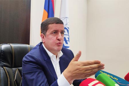 Процесс огосударствления ЗАО "Электрические сети Армении" носит политически мотивированный характер